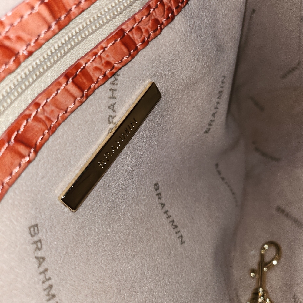 Brahmin mini asher - Picture 5 of 9